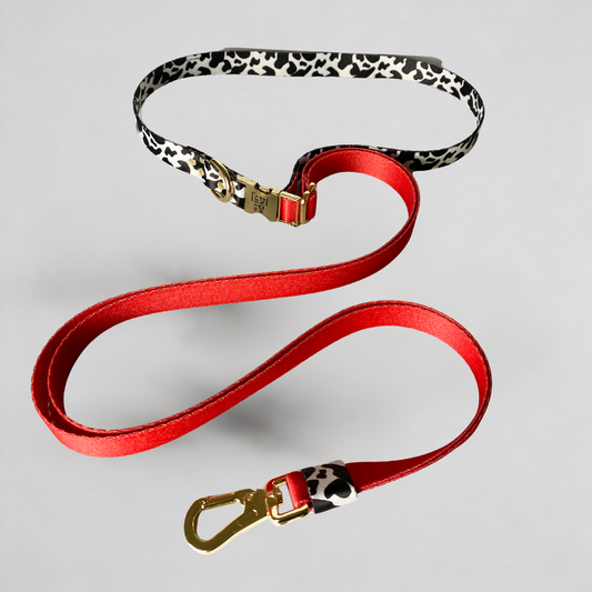Hands-Free Hundeleine Rouge